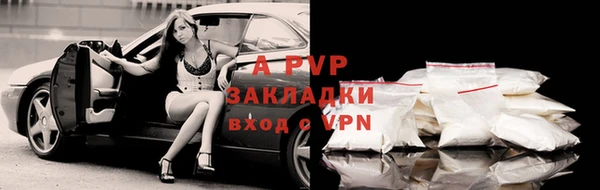 гашик Алексеевка