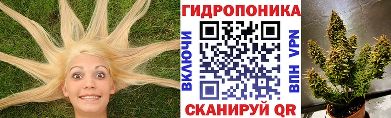 Бошки марихуана LSD WEED  где можно купить   Кремёнки 